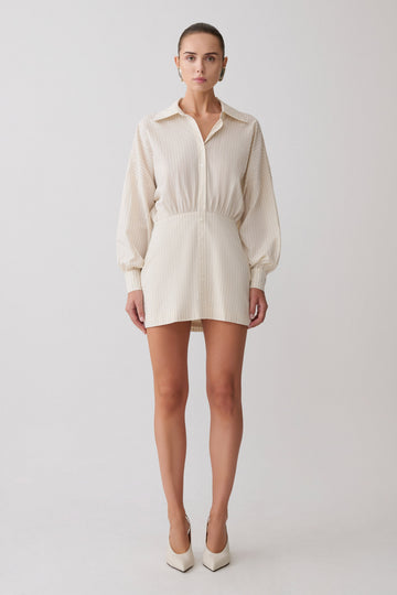 Ivy Shirt Mini Dress